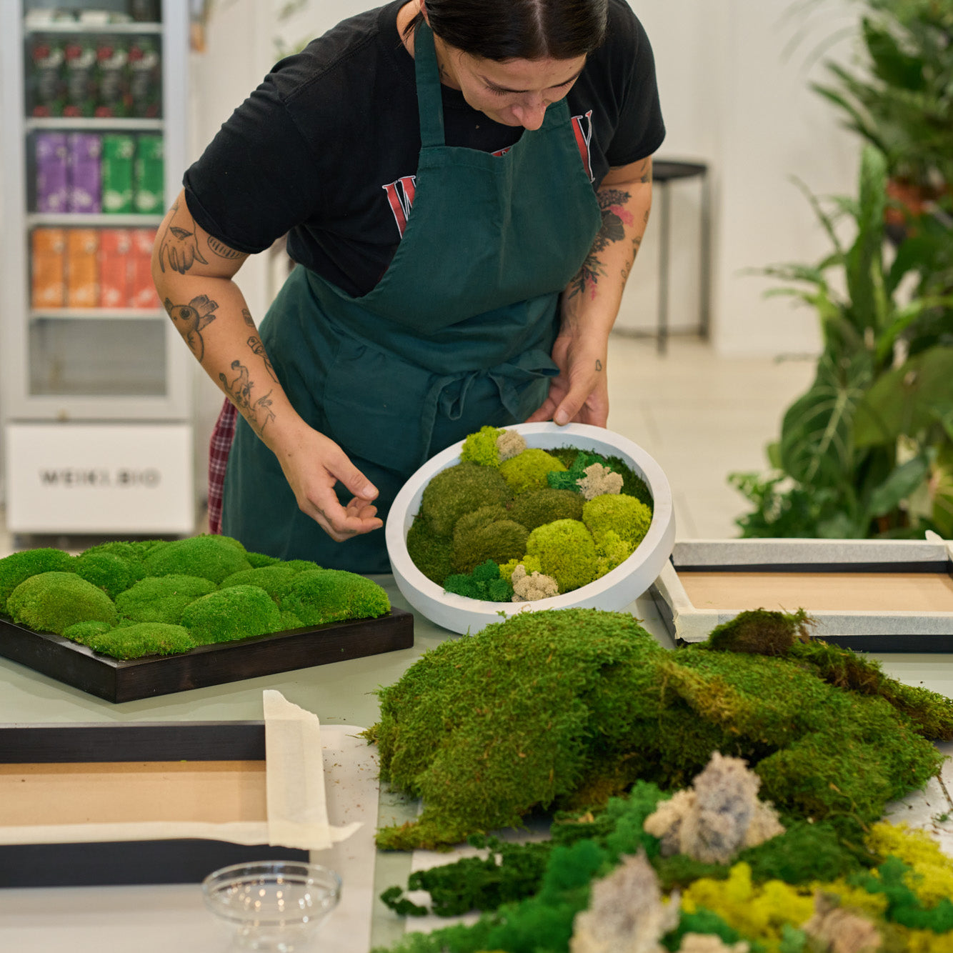 Workshop: Výroba mechového obrazu