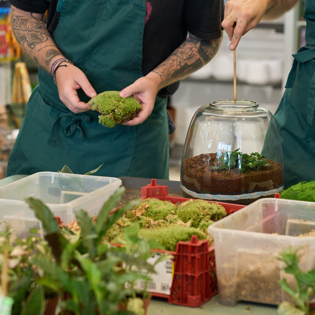 Workshop: Rostlinná terária