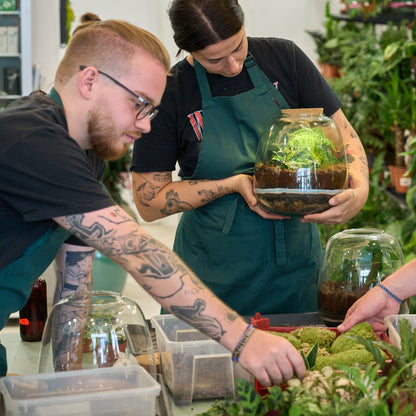 Workshop: Rostlinná terária