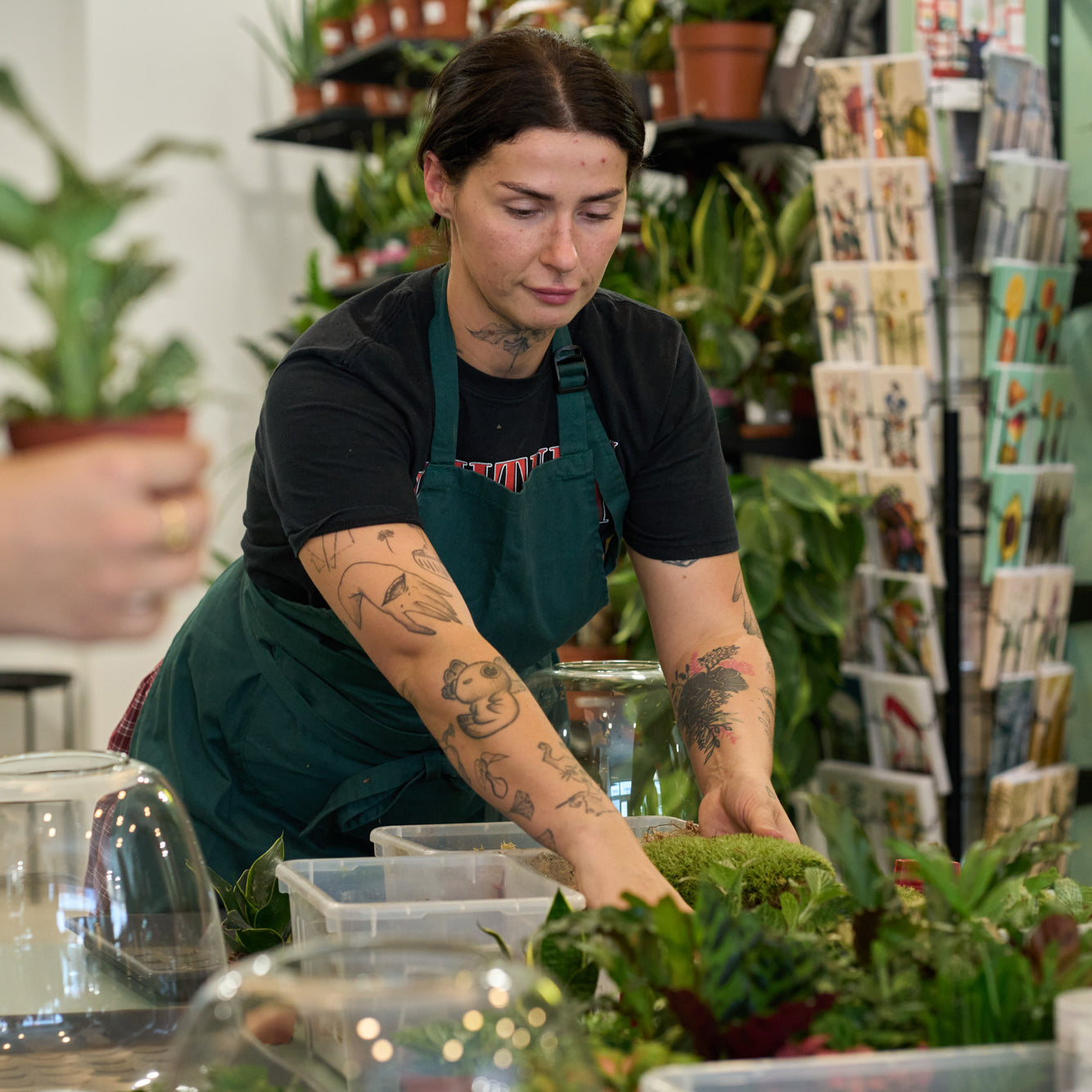 Workshop: Rostlinná terária