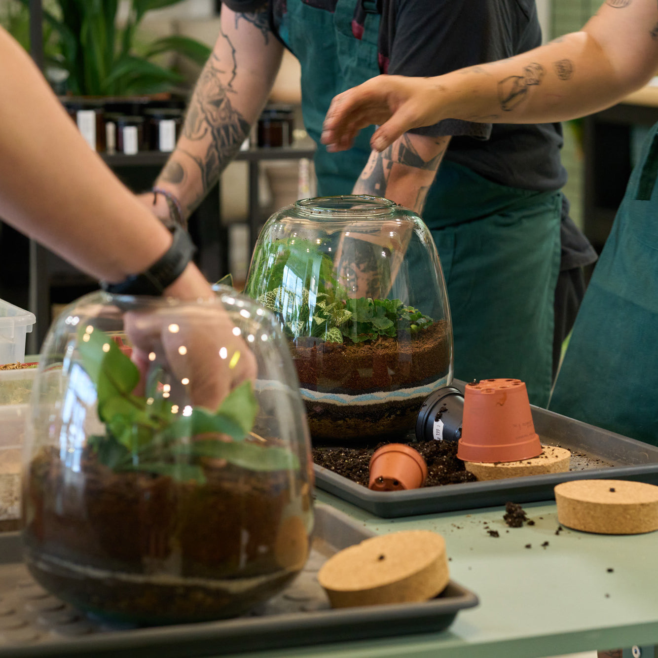 Workshop: Rostlinná terária