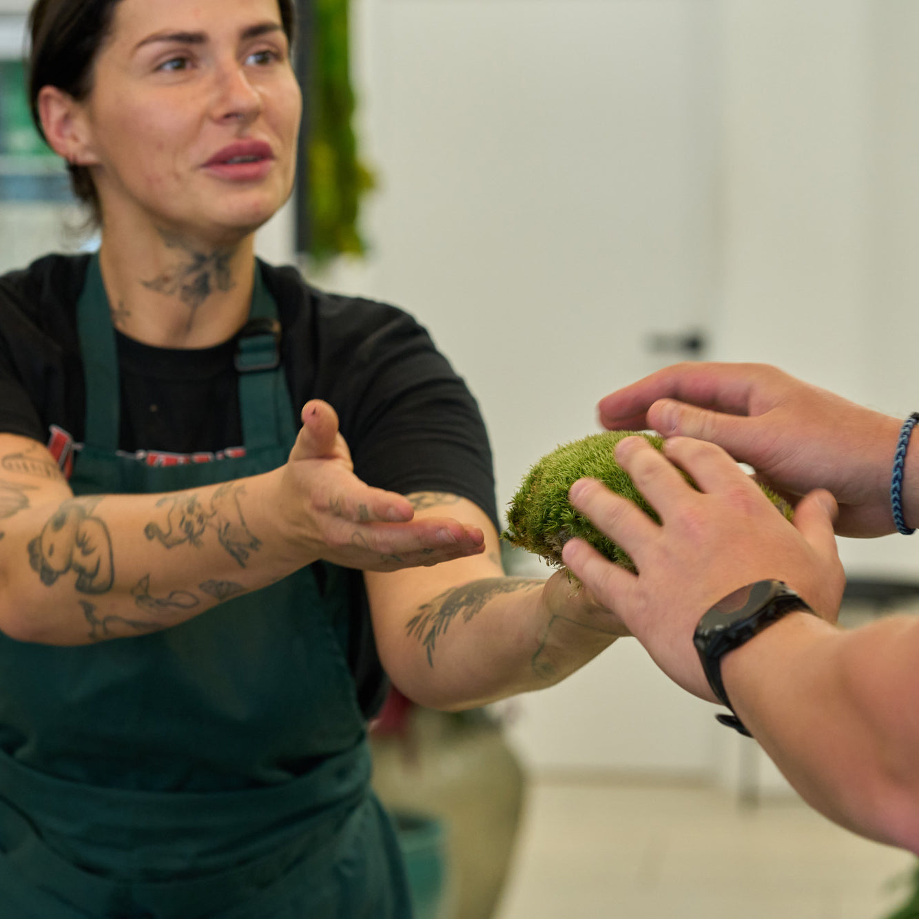 Workshop: Rostlinná terária