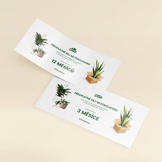 Předplatné rostlin - Standard
