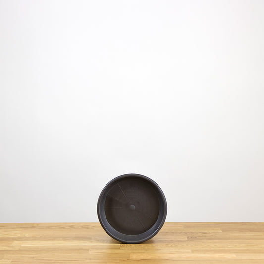 Plastová podmiska Madagascar